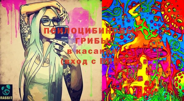 соль ск Козельск