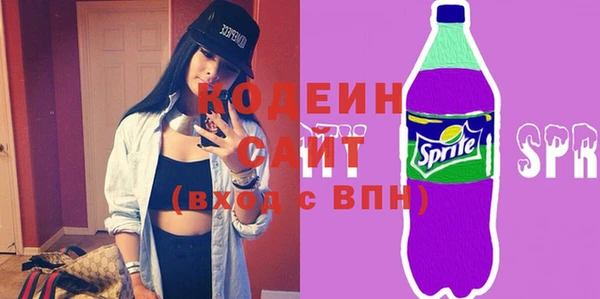 соль ск Козельск