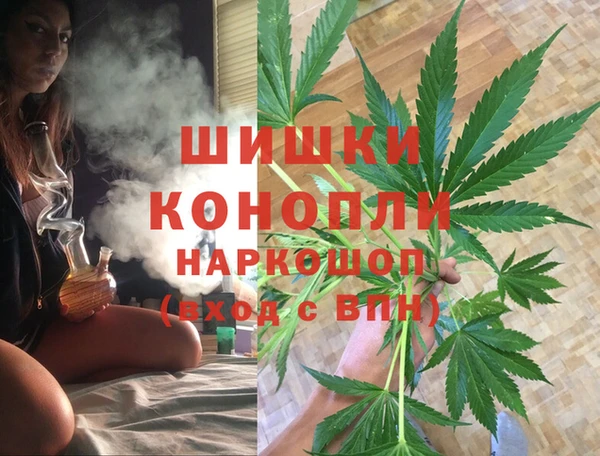 соль ск Козельск