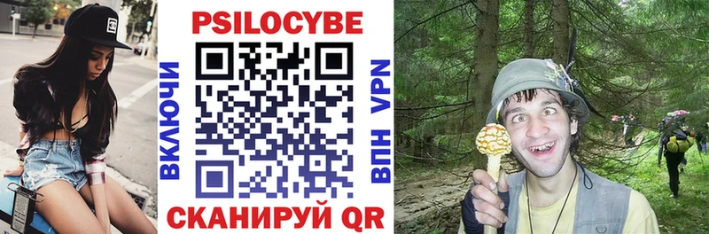 Купить закладки  Звенигород  Галлюциногенные грибы Psilocybine cubensis 
